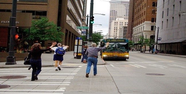 Importance of Transportation Management