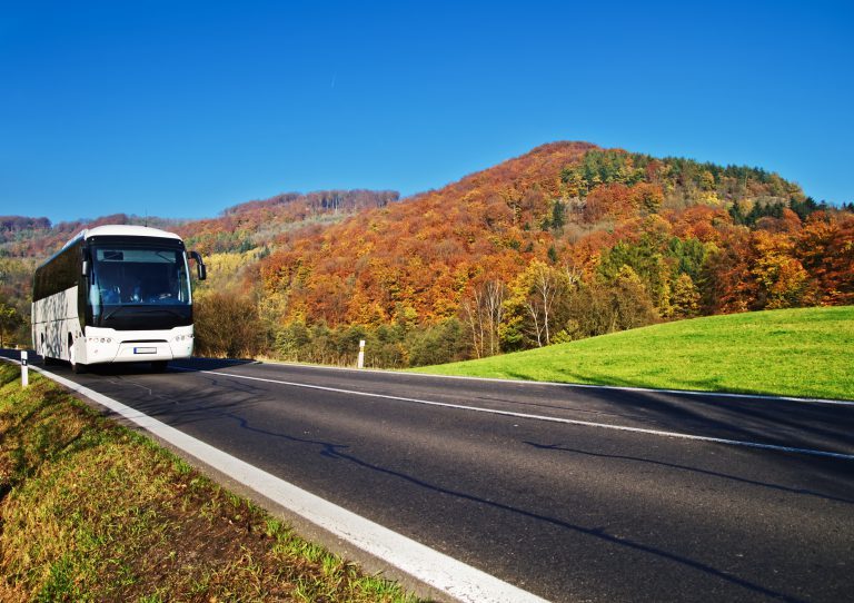 Paratransit Scheduling Solutions